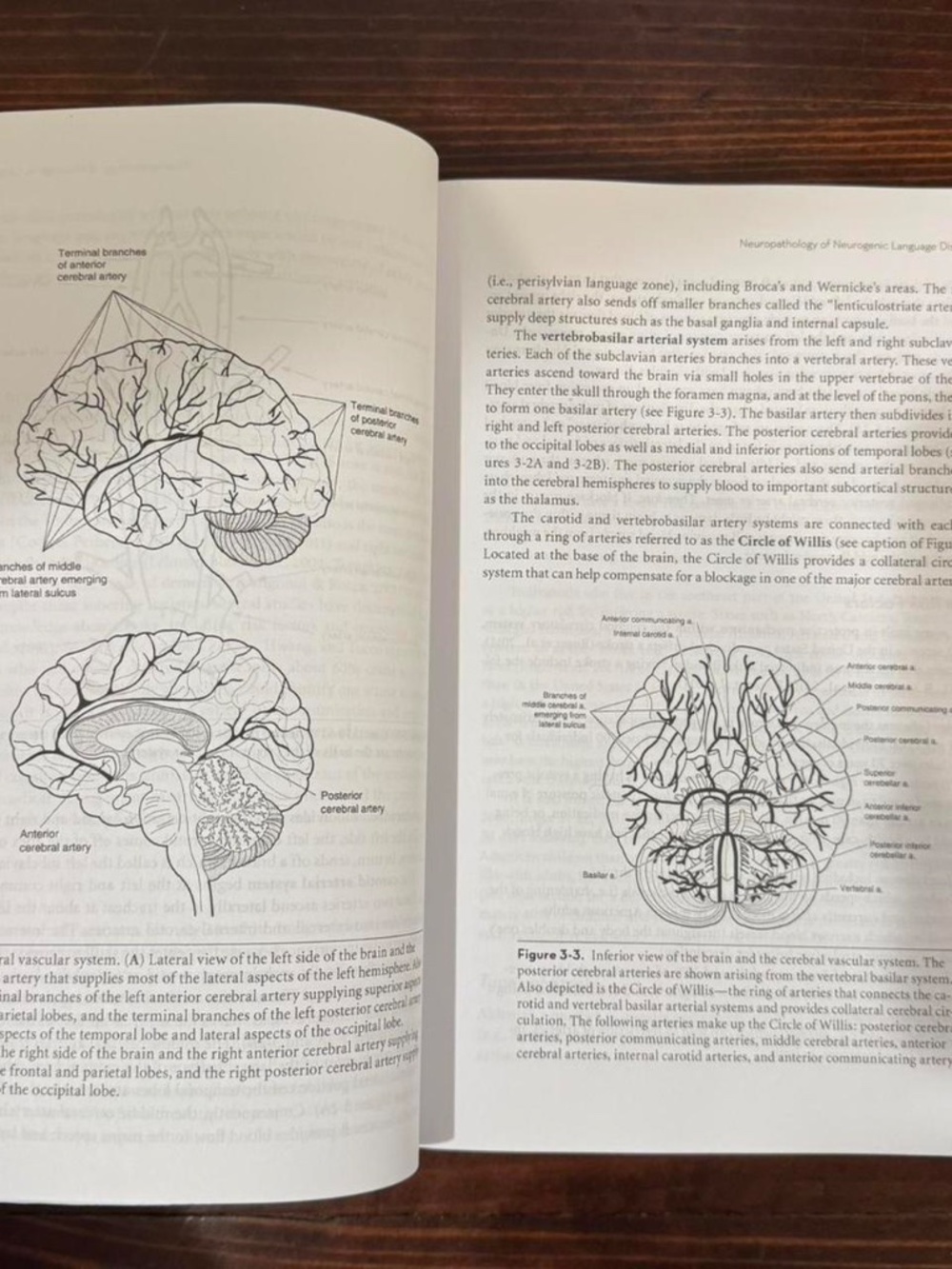 Neurogenic Disorders of Language and Cognition: Evidence-based Clinical Practice - Picture 3 of 5
